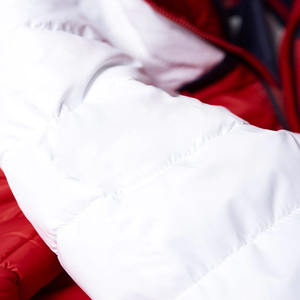 Vestes à bulles de style sport pour hommes de haute qualité Veste bouffante à capuche avec support Vente à chaud Marque privée du fabricant Prix bon marché - Product Image 6