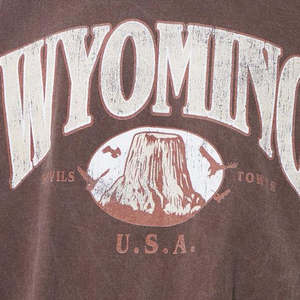 เสื้อยืดโอเวอร์ไซส์ลายเมืองผ้าคอตตอน100% ทึบระบายอากาศได้ดีเป็นมิตรกับสิ่งแวดล้อมเสื้อยืดแนวสตรีทอินเทรนด์แฟชันเสื้อโลโก้ด้านหน้า - Product Image 3