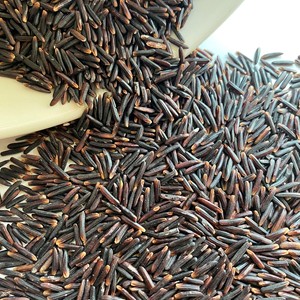 Riz noir vietnamien à grains longs de qualité supérieure, naturel, à grains entiers, riche en fibres, antioxydant, pour une alimentation saine, export en vrac, récolte 2025 - Product Image 5
