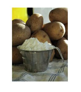 Fécule de pomme de terre abordable en vrac à vendre idéale pour la production alimentaire et les besoins de fabrication à grand volume - Product Image 6