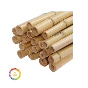 Poteaux et tubes en bambou durables de haute qualité du Vietnam Matières premières en bambou polyvalentes pour diverses utilisations - Product Image 6