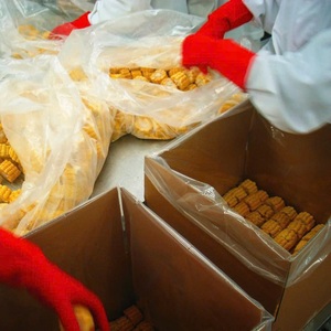 Proveedor Vietnamita Ofrece Maíz Dulce Fresco IQF Cortado a Granel Tipo Date envasado al Vacío con Conservación de Agua - Product Image 2