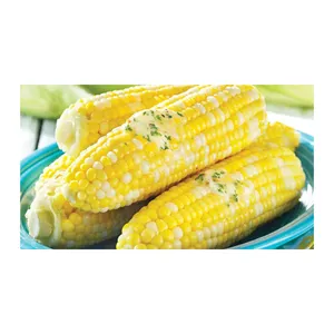 Penjualan laris jagung jagung jagung kuning tidak GMO/jagung kuning & jagung putih/jagung jagung kuning kering untuk dijual