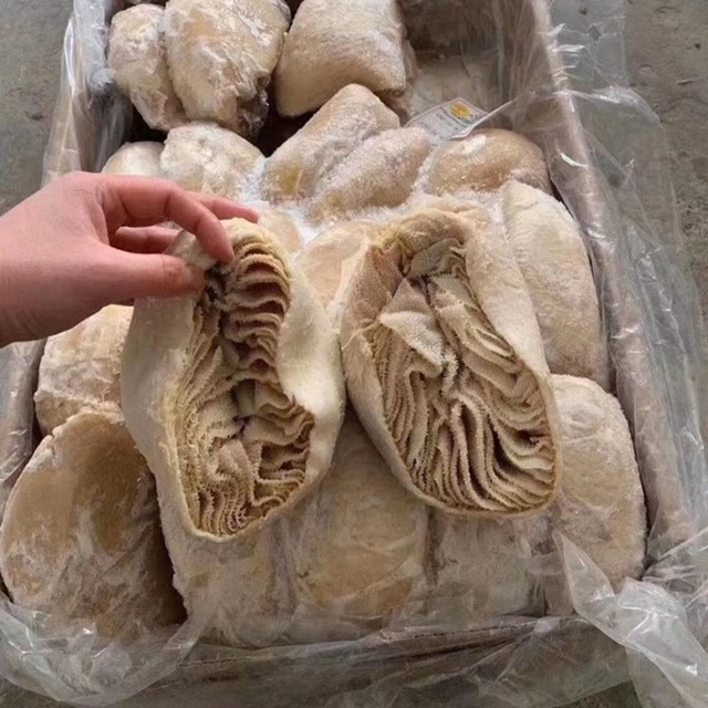 Beef Tripe/Shaki (Cleaned) Beef Manifold (bible Tripes) Beef Honeycomb