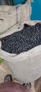 Tamarind <b>Seed</b> Raw <b>Seed</b> for Herbal Product <b>of</b> Bulk <b>Packaging</b> Best High Quality Tamarind <b>Seeds</b> In Wholesale Price - Product Image 4