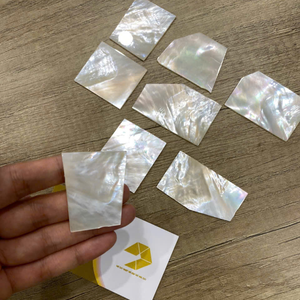 Blancs de vadrouille blancs d'élégance de coquillage naturel pour la musique/bijoux et plus-Caryln 0084935825297 - Product Image 5