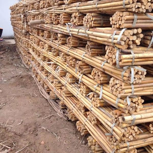 High Quality Premium Natural Polished <b>Rattan</b> <b>Cane</b> Agriculture Product EUTECH EVN101 Diameter 6-50MM - Product Image 1