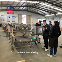 Commerciële Fruit Wassen En Waxen Machine Verkoop Dragon Fruit Wasmachine Cactusvijg Peer Wassen Pruim Reinigingsmachine