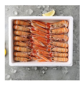 กุ้งล็อบสเตอร์แช่แข็ง - ซื้อกุ้งล็อบสเตอร์จำนวนมากสำหรับการแปรรูปอาหาร - Product Image 1