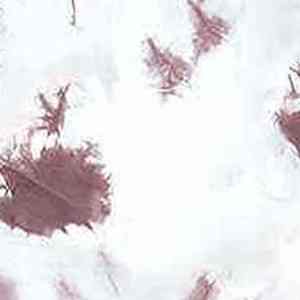 Chándal teñido con lazo de alta calidad para hombre, transpirable, cómodo, con capucha, con el mejor servicio OEM de fabricación, chándal teñido con lazo - Product Image 4