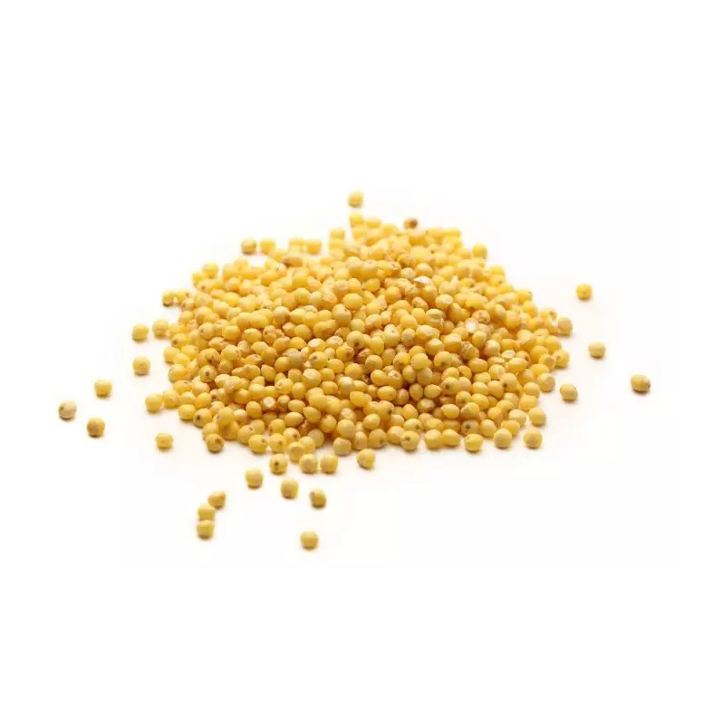 Millet gluant blanc rouge noir jaune Millet de maïs à balai Millet collant pour graines d'oiseaux