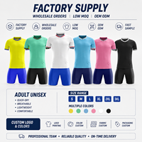 24 maillots de football de haute qualité pour la Coupe d'Europe, vêtements d'entraînement à séchage rapide, maillots de football à manches courtes, vêtements de football personnalisés unisexes