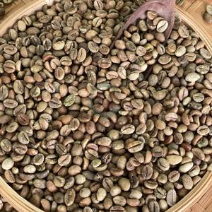 Granos de café Robusta de Vietnam de calidad superior tamaño 16 AA Plus a granel 60kg bolsas de PP limpias> 90% de madurez - Product Image 6
