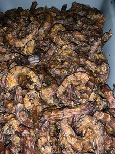 อาหารสุนัข2024ไก่เท้าเป็ดผลิตจากโรงงาน - Product Image 2