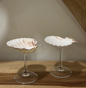 Elegante vaso de concha marina para decoración de interiores, servicio de bebidas y presentación de mesa de hotel - Product Image 2