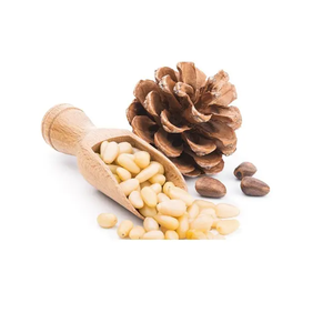 Vente en gros Graines de pignons de pin Noix de pin pures et biologiques pour usage culinaire et nutritionnel Fournisseur de pignons de pin en vrac avec livraison rapide - Product Image 4