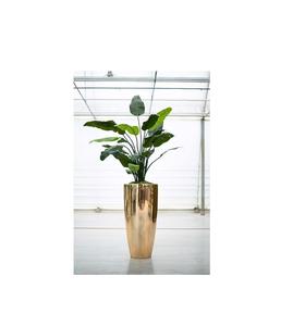 Pots de fleurs et jardinières modernes en métal avec finition mate lisse et forme arrondie Nouvelle arrivée Décor de jardin urbain - Product Image 6