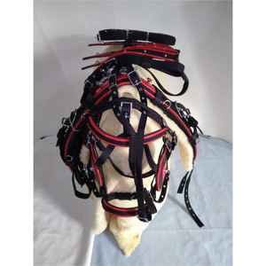 Conjunto de Arnés de Nailon de la Mejor Calidad para Montar a Caballo |   Equipo Ecuestre Ajustable y Duradero |   Precio Accesible |   Proveedor Mayorista OEM - Product Image 2