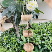 COCO-ECO Décorations Naturelles de Jardin en Gros Kits de Propagation de Noix de Coco Faits Main Écologiques Pots Vintage Jardinières Pots de Fleurs