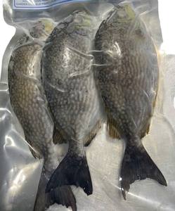 IQF Frozen Whole Rabbit Fish Paquete al vacío Peso personalizable Exportación a granel al por mayor - Product Image 6