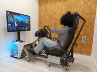 Simulador de Conducción DRIVESIM DS 250 1 con Pantalla, Metálico y de PLA, Eléctrico, para Entrenamiento de Conductores y Educación en Seguridad Vial (Multilingüe)