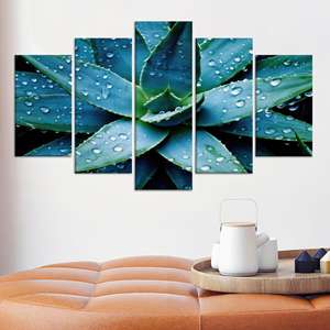Printed Canvas: Succulent Water Droplets Modern Botanical Art,SET OF 5 MIX CANVAS - Product Image 1