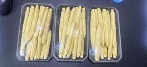 Maïs bébé congelé du Vietnam de haute qualité fraîchement récolté et propre prêt pour la cuisson - Product Image 6