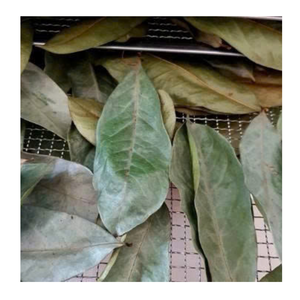 Ingrediente de té de Graviola Hojas de Guanábana secas Premium para compañías de bebidas de té - Product Image 4