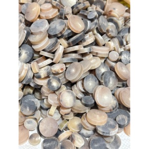 Botones de cuerno de buey de color natural, directamente de fábrica, para costura de prendas de moda, manualidades y creación de botones personalizados. - Product Image 6