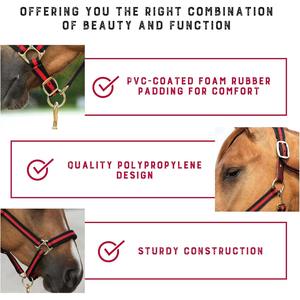 Cabestro para Caballo de Ajuste Cómodo, Diseño Resistente y Ajustable para un Manejo Seguro, Entrenamiento, Control en Establos y Uso Diario en el Cuidado Ecuestre - Product Image 6