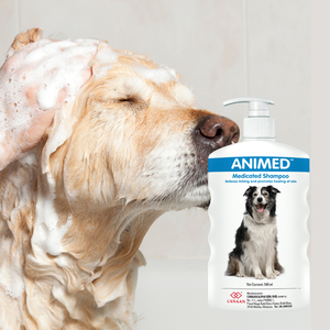 แชมพูสัตว์เลี้ยงสูตรอ่อนโยน ปราศจากสารพิษ สำหรับสุนัข ช่วยบำรุงผิวให้ชุ่มชื้น ให้ขนเงางามและแข็งแรง - Product Image 1