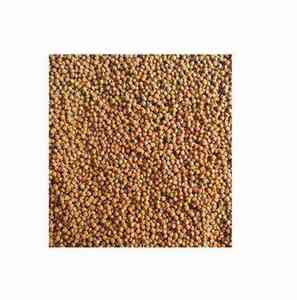 Alimento Flotante Premium para Peces de la India, Nutrición Sostenible para un Crecimiento Rápido, Cría de Peces Saludable y Acuicultura Eficiente - Product Image 1