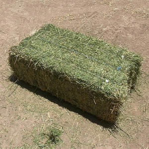 Paca de Alfalfa Comprimida Premium, Heno Natural de Alfalfa para Ganado, Alimento para Animales en Venta - Product Image 5