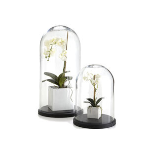 New Collection Best Quality Hand-Blown <b>Glass</b> <b>Cloches</b> Unique <b>Glass</b> <b>Cloche</b> for Home Decoration - Product Image 5