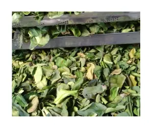 100% 纯锡兰草本柠檬叶最佳等级越南产地
