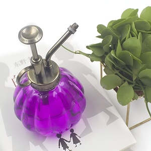 Elegante planta de Metal minimalista Mister suculenta bonsái Riego Jardín planta Spritzer nuevas herramientas de jardín - Product Image 6