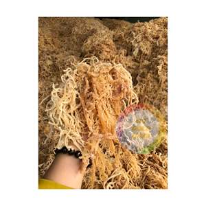 Musgo irlandés de algas para exportación/suministro de gran cantidad de EUCHEUMA seco a precio competitivo - Product Image 2