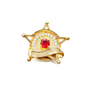 Hot Selling Accessories Trendy 2025 beGems BNI Brooch Premium Emblem Jewelry <b>Pin</b> for Networking Member Gift - Product Image 2