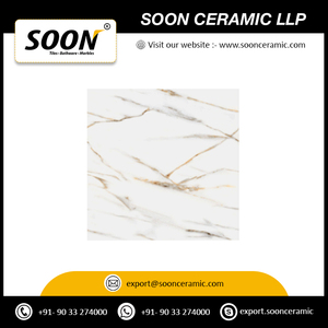 Azulejos de Porcelana para Piso 600x600 GVT/PGVT de Calidad de Exportación, Acabado Mate, Diseño Rústico, Antideslizantes, Antibacterianos, para Interiores y Exteriores - Product Image 4