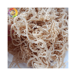 Bulk Unsalted Dried Sea Moss, Golden Irish Moss <b>Seaweed</b> for Seamoss Gel, Wildcrafted Eucheuma Cottonii, 25kg Packing - Product Image 2