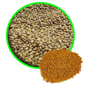 Trèfle Berseem | Masse verte utilisée dans les blocs d'alimentation - Product Image 1