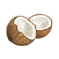 Kokosnoot Hoge Kwaliteit Biologische Witte Gedroogde Kokosnoot Kopra Zongedroogd Hele Fruit Poeder Natuurlijke Conservering Enkele Kruiden & Specerijen