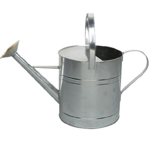 Arrosoir en métal antique solide galvanisé à l'eau en métal peut d'eau concepteur créatif fait à la main meilleur arrosoir - Product Image 2