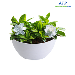 Maceta de pared vertical semicircular blanca-Maceta de plástico 23,5x11x13cm Diseño contemporáneo Uso en interiores-Venta al por mayor de Vietnam - Product Image 3