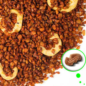 ทะเล buckthorn แห้ง | ทางเลือกสูงสุดสำหรับ formulators โภชนาการ - Product Image 1