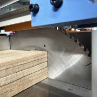 Sierra de Corte de Madera Automática CNC de Alta Precisión BCC-550 para Estructuras de Madera y Fábricas de Muebles