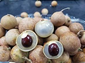 PURO CONGELADO LONGAN FRUTA ENTERA SABOR NATURAL RESPETUOSO INMUNE CERTIFICADO NO GMO - Product Image 3