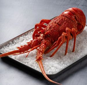 Langostas Australianas Congeladas de Primera Calidad, Mariscos Crudos Enteros para Exportación, Restaurantes y Suministro Minorista - Product Image 6