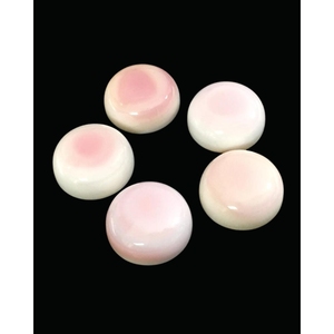 เปลือกหอยสังข์สีชมพูทรงกลมสำหรับทำเครื่องประดับ - Product Image 2