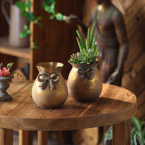 Macetas Decorativas de Metal para Plantas, Decoración de Mesa para el Hogar, Macetero para Suculentas de Interior, Florero, Artículo de Exhibición de Jardín Rústico Vintage, Regalo Decorativo - Product Image 6